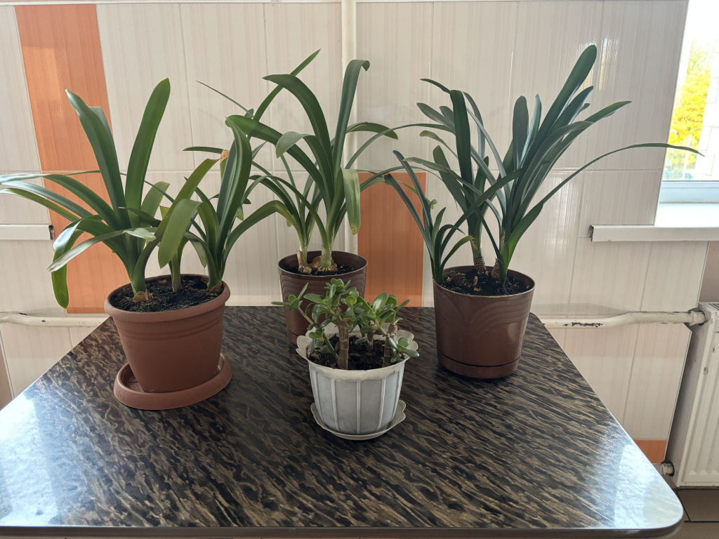 IMG_0596.jpg IMG_0596.jpg